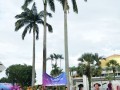 Tn dsc 7382